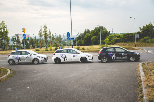 Szkoła Jazdy Lejdis Kraków - Flota Hyundai i20